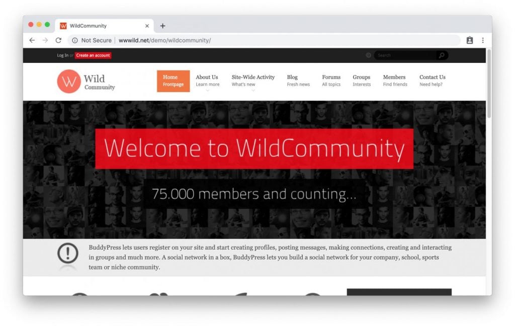 Página principal de WildCommunity Tema Intranet WordPress