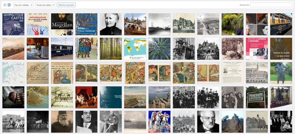 Revisar la biblioteca multimedia de History