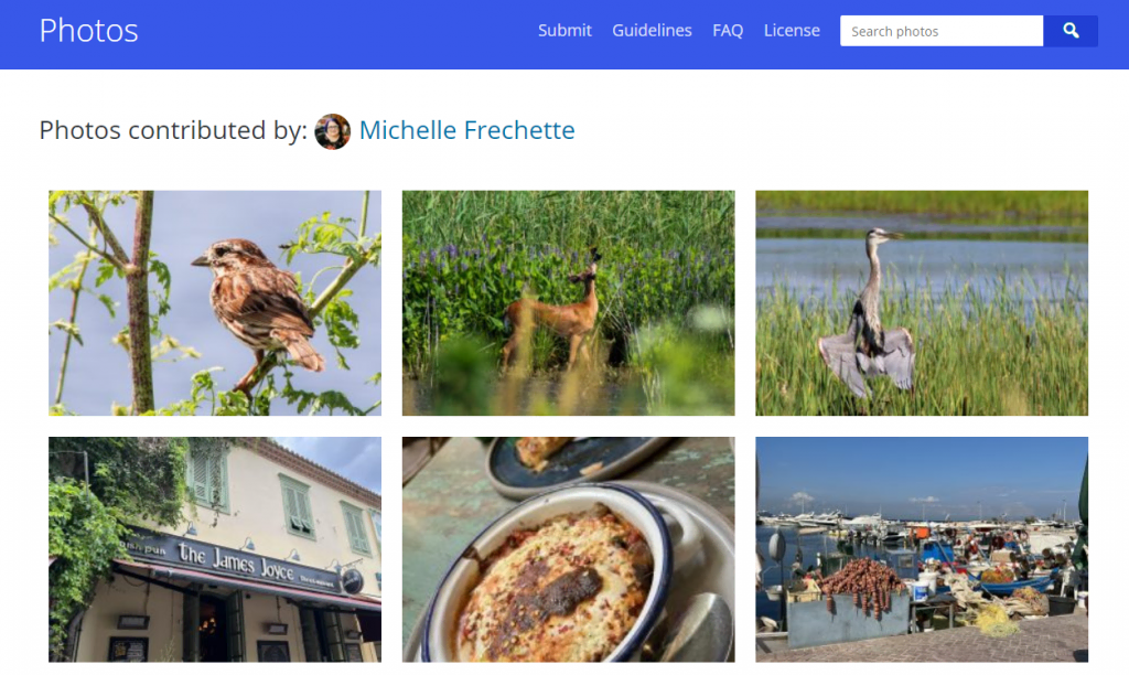 Michelle Frechette's photo works in WordPress Photo Directory