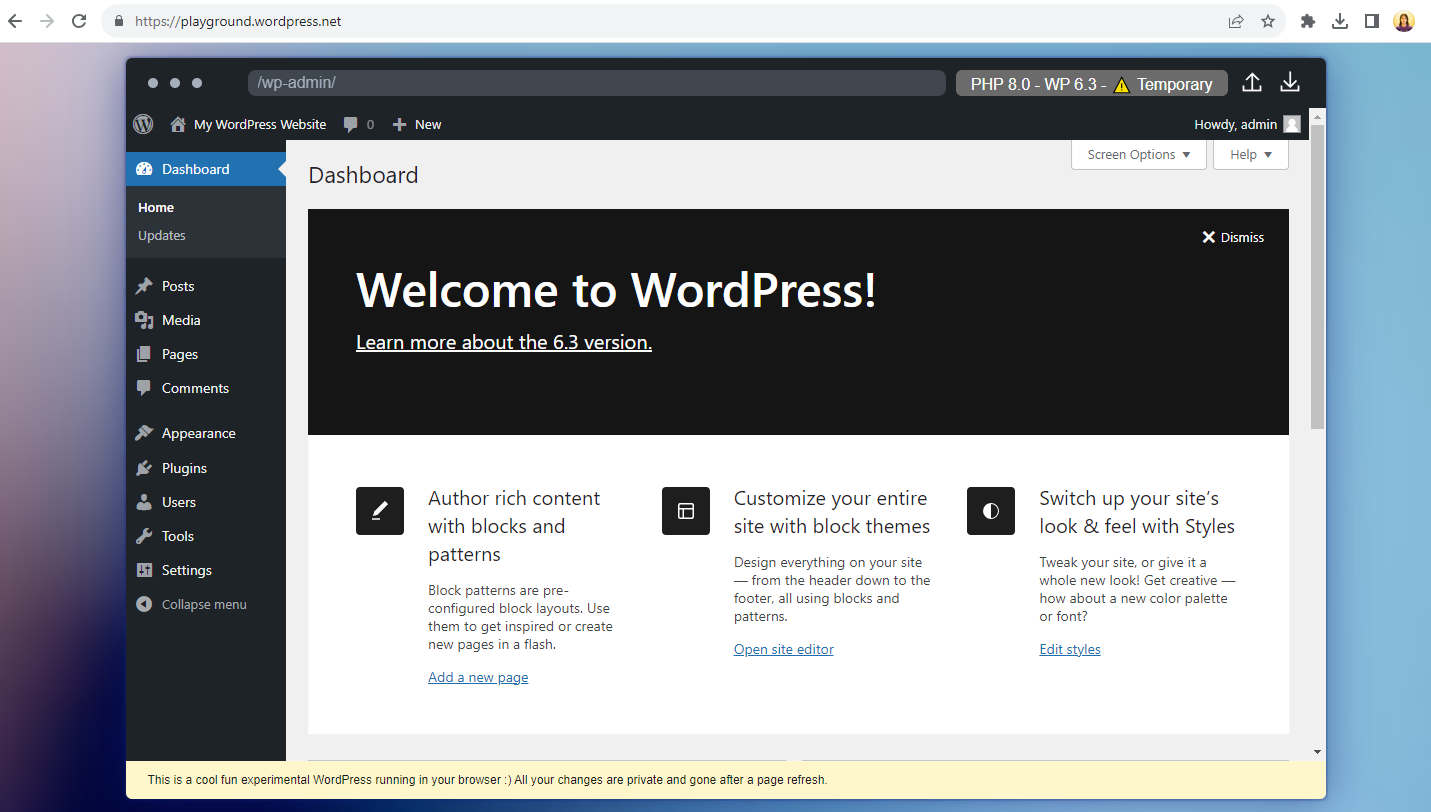 WordPress Playground interface