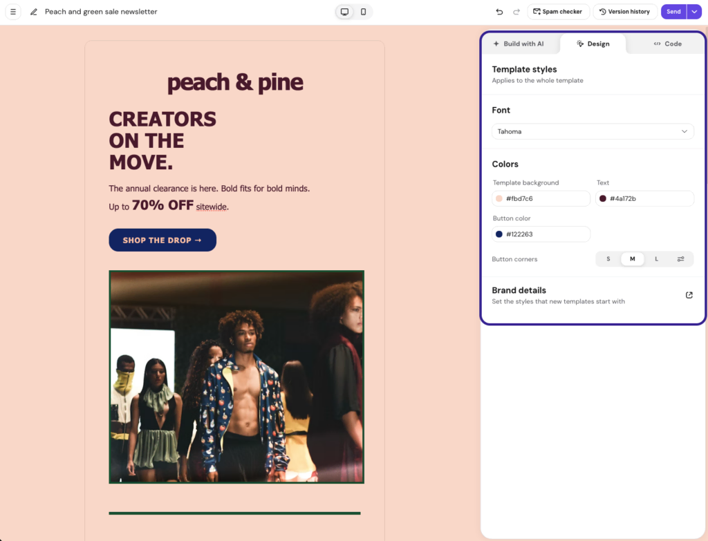 Hostinger Reach's Global Template Styles panel