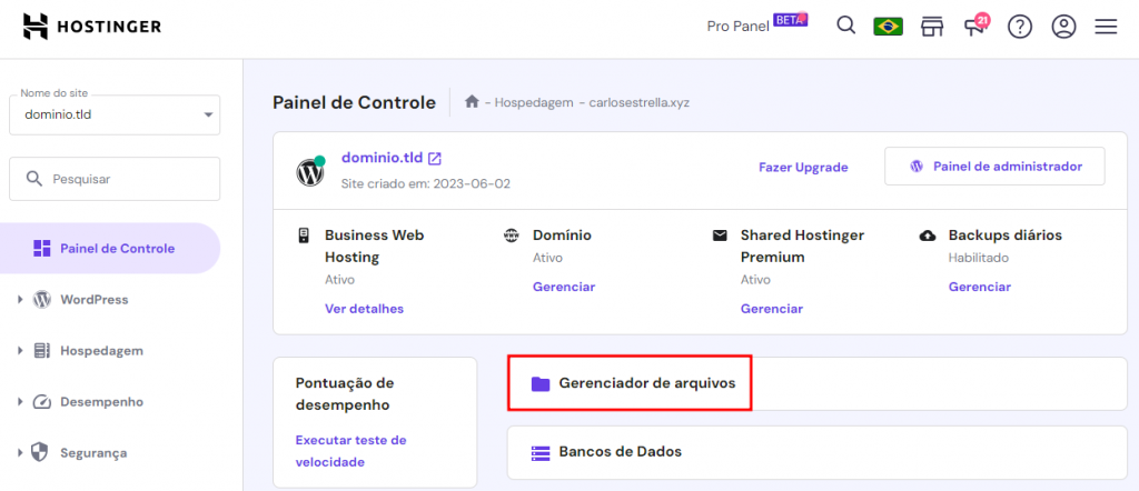acessando gerenciador de arquivos pelo hpanel