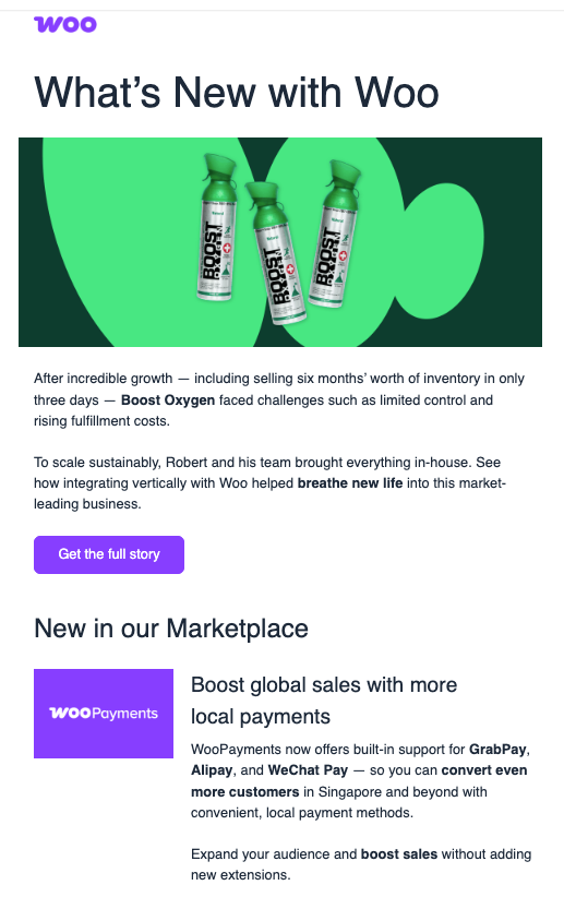 exemplo de campanha de email marketing do woocommerce