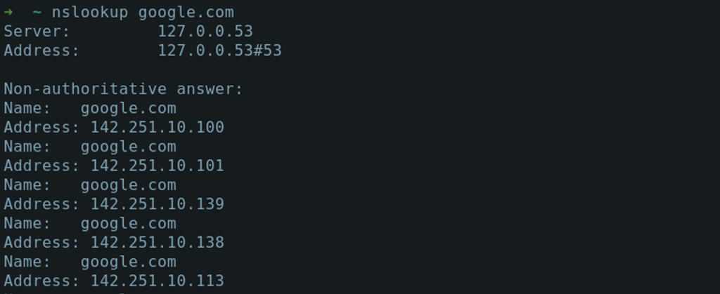 Janela de terminal Linux mostrando a execução do comando nslookup.