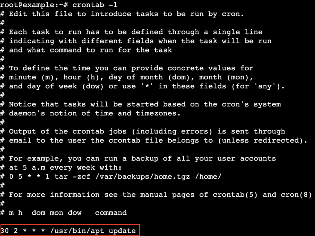 Terminal mostrando a sa&iacute;da do comando `crontab -l` com uma atualiza&ccedil;&atilde;o do apt agendada.