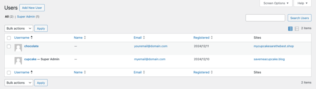 Lista de usuários existentes exibida no painel do WordPress Multisite
