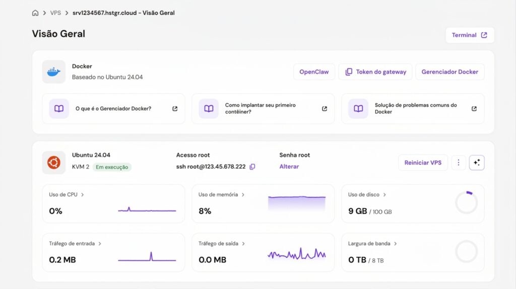 Hpanel com todos os detalhes do VPS com Docker e Paperclip