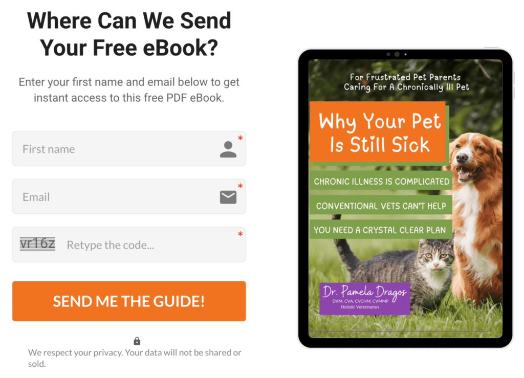 Animal de estima&ccedil;&atilde;o doente