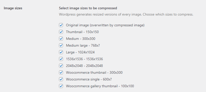 Interface do WordPress exibindo opções para selecionar os tamanhos de imagem que serão compactados, incluindo várias miniaturas e dimensões.