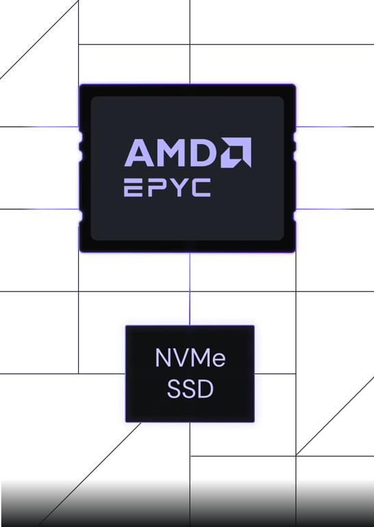 अपराजेय प्रदर्शन