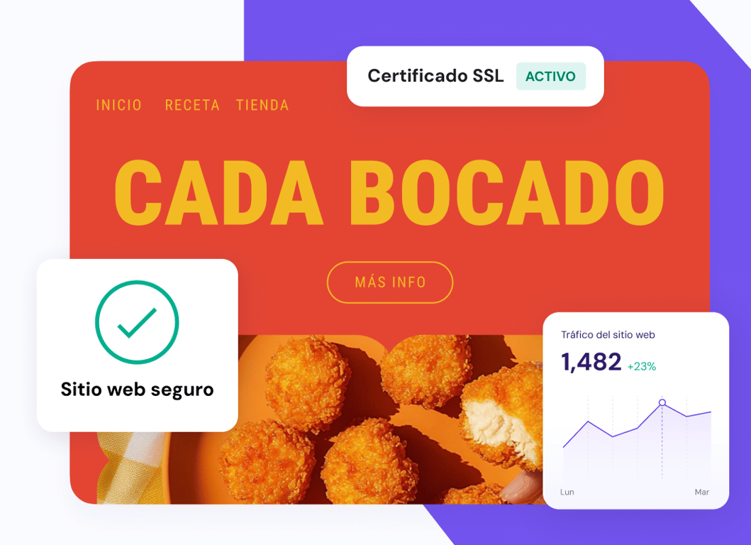 La información de tu sitio web, asegurada