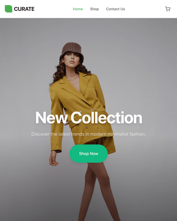 Minimalist online shop