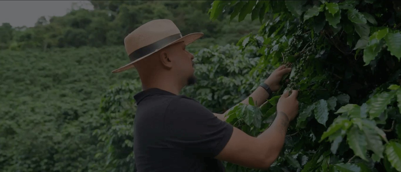 Seu sucesso online começa aqui