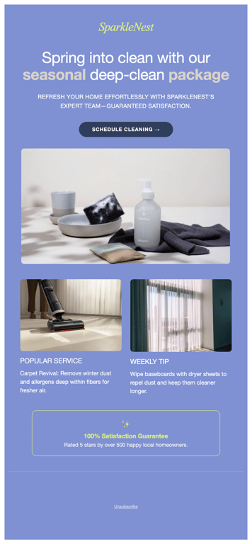 Blue home cleaning seasonal promotion newsletter