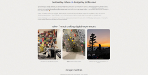 Los 20 mejores ejemplos de portfolio para inspirarte en 2025