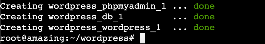 Im Terminal wird angezeigt, dass Docker die WordPress-Installation abgeschlossen hat.