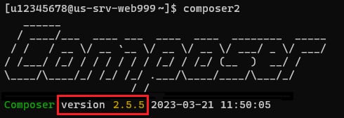 La versión de Composer 2 instalada en su entorno de alojamiento