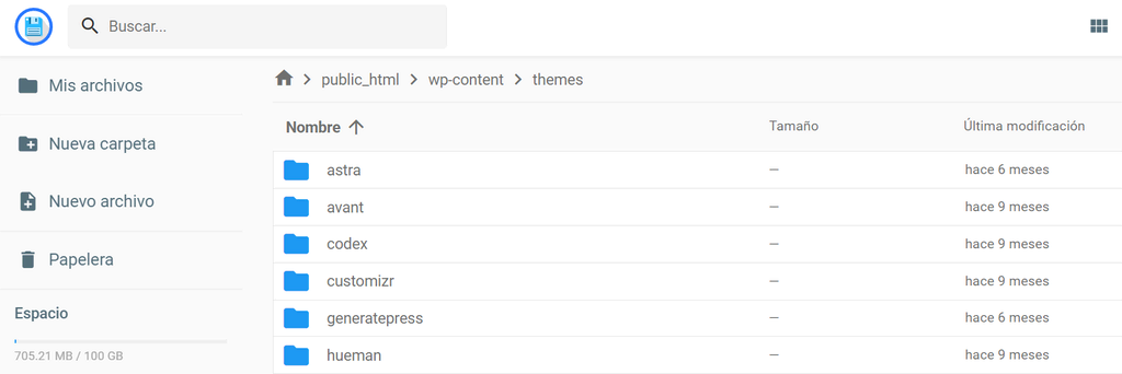 La lista de temas de WordPress instalados en su sitio
