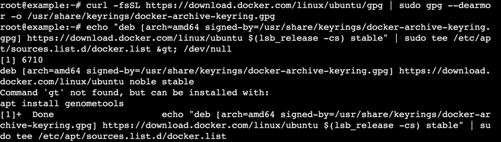 Uso de cURL en Docker - Terminal