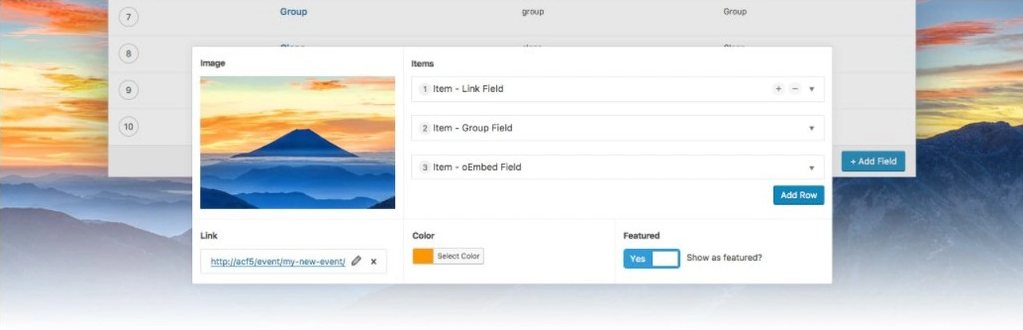 Plugin Advanced Custom Fields