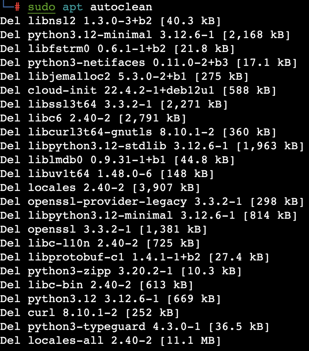 Uso del comando sudo apt autoclean en terminal