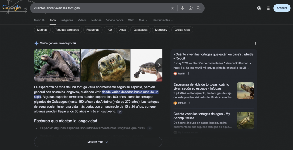 Ejemplo de resultado con IA de Google