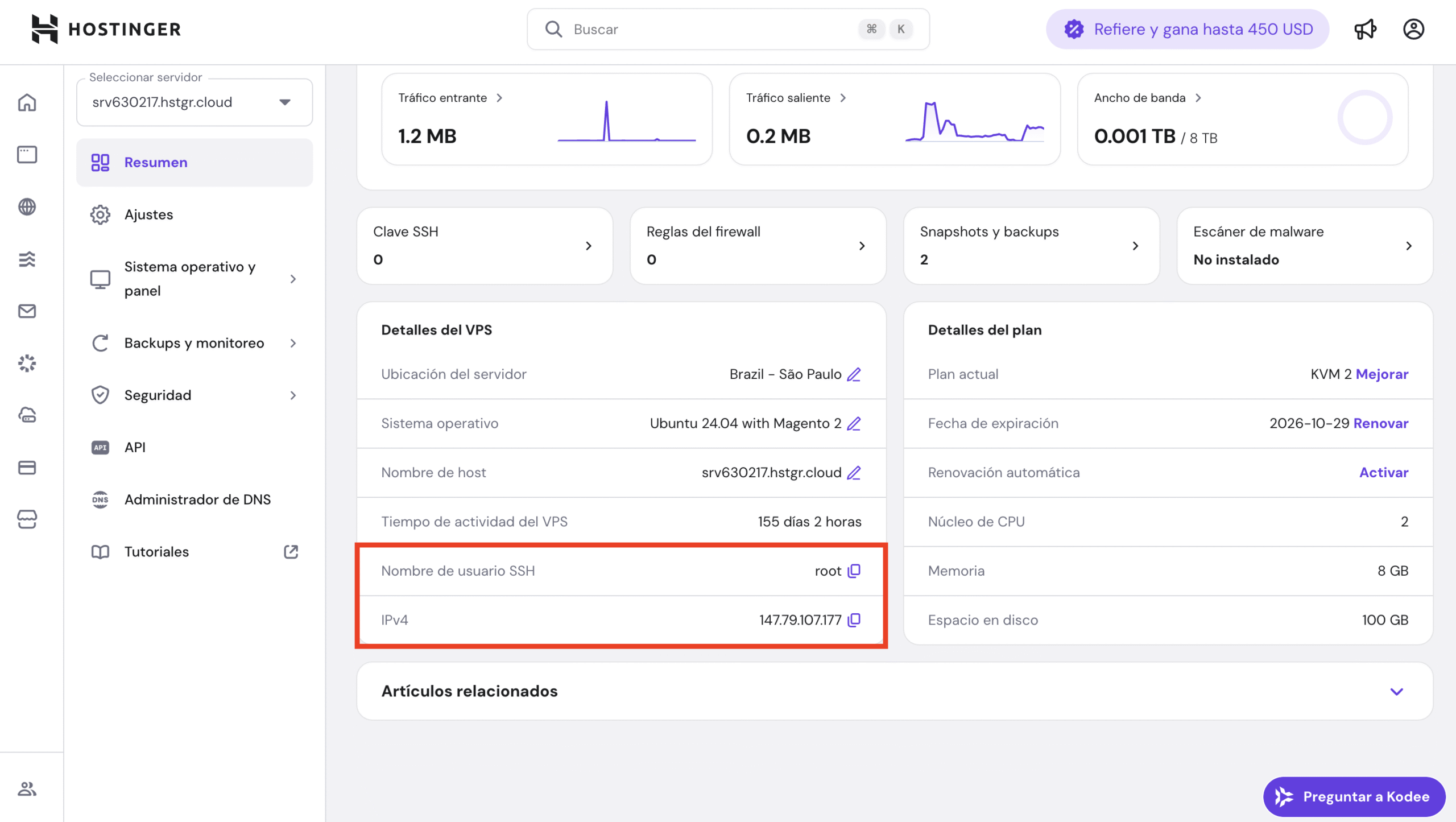 Vista general de VPS en hPanel