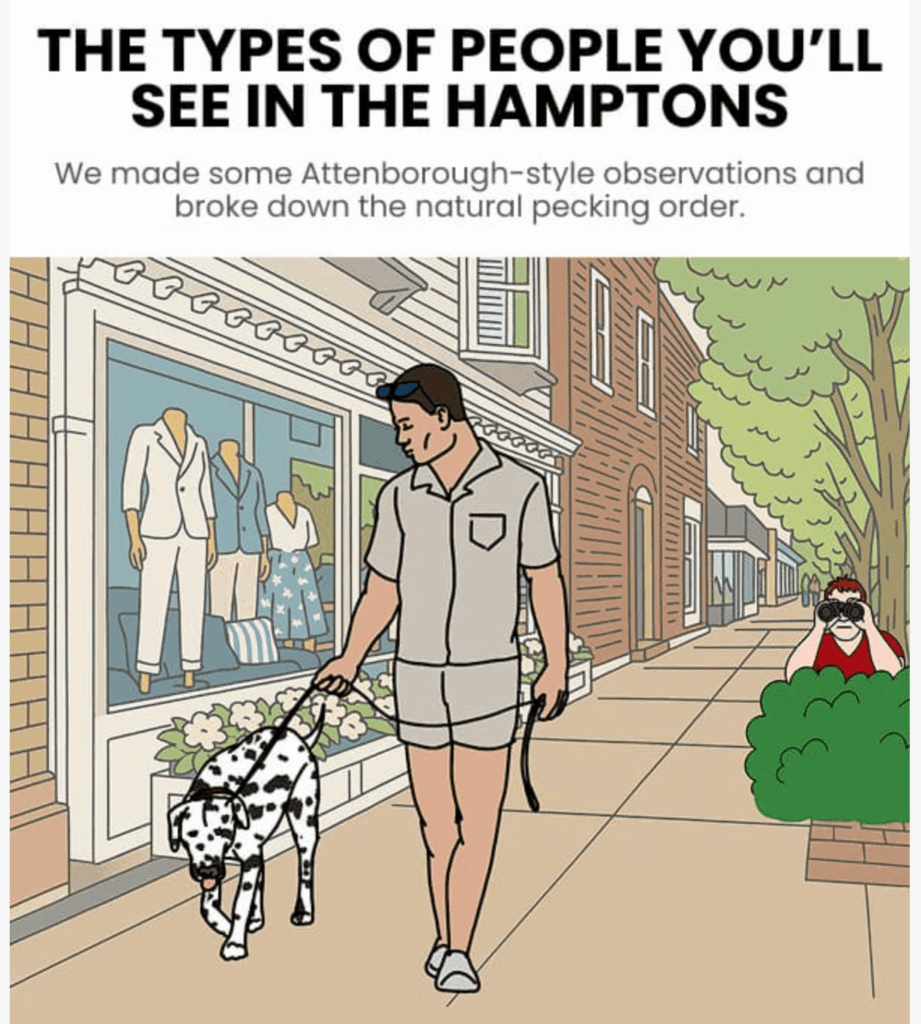 Campa&ntilde;a de marketing por correo electr&oacute;nico de Birddogs que muestra el titular