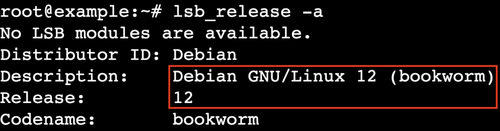 Una salida de la terminal que muestra la versi&oacute;n de Debian instalada
