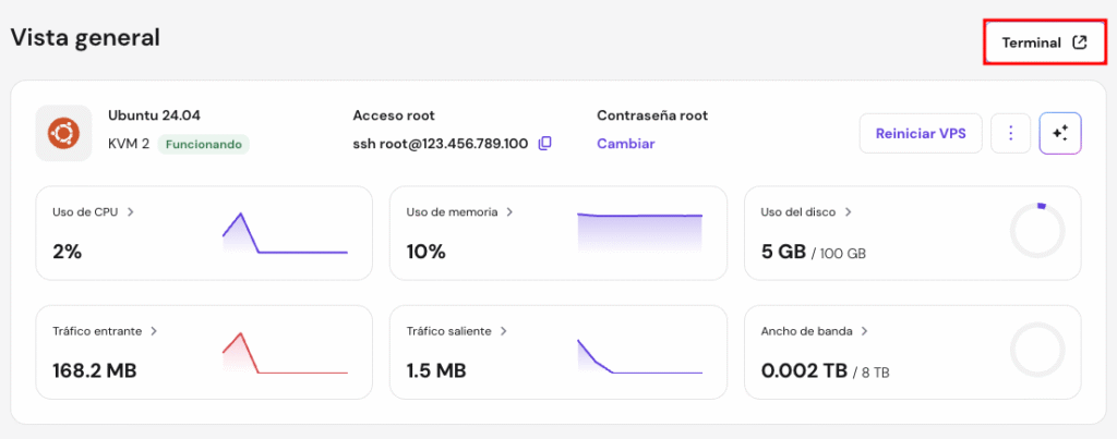 El bot&oacute;n Browser terminal en la p&aacute;gina Overview del VPS de hPanel