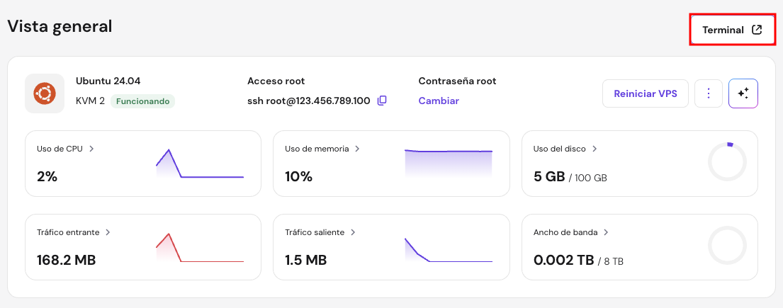 El bot&oacute;n Browser terminal en la p&aacute;gina Overview del VPS de hPanel
