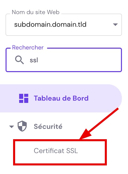 Les paramètres SSL dans la zone de gestion du site web