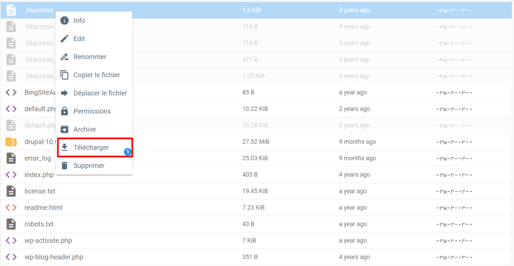L'option Télécharger dans le gestionnaire de fichiers hPanel