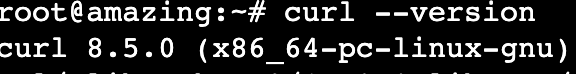 Le terminal affiche la version de cURL