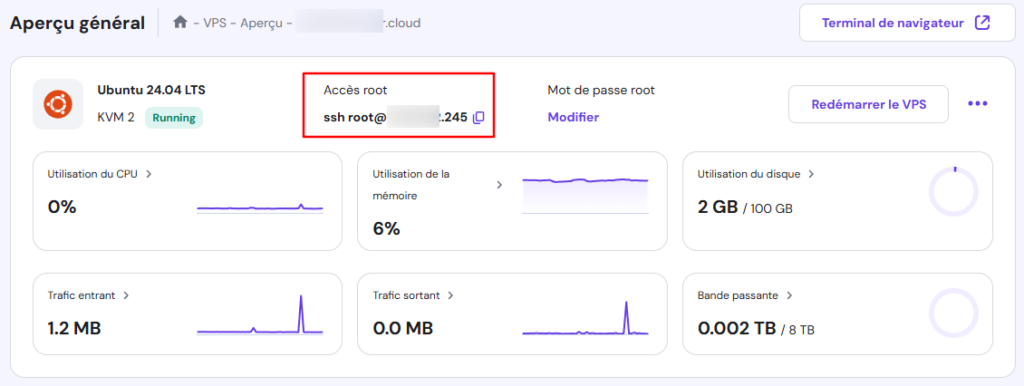 Page Aperçu général du VPS de hPanel