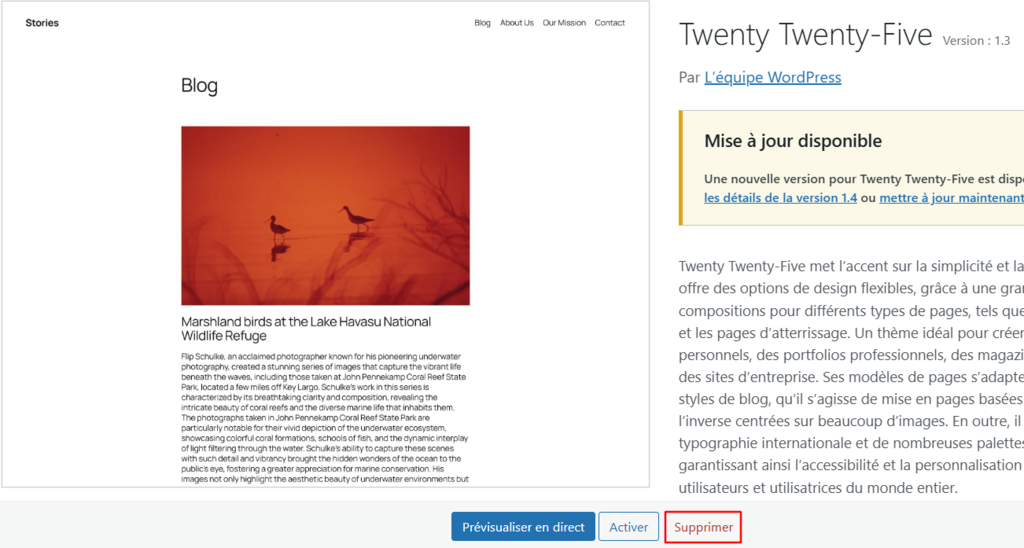 Aper&ccedil;u des d&eacute;tails du th&egrave;me dans WordPress