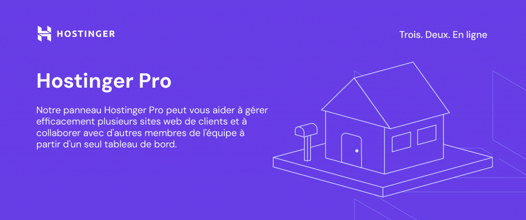 Illustration-Hostinger-Pro Illustration d'Hostinger pour Hostinger Pro