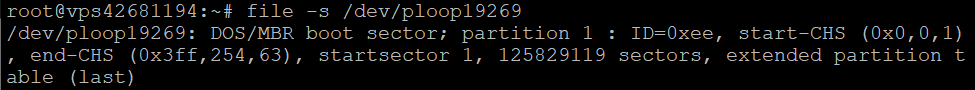 Lire un fichier spécial de bloc à l'aide de la commande Linux file dans le terminal