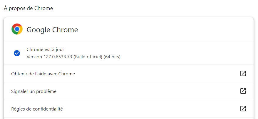 Section &laquo; &Agrave; propos de Chrome &raquo;, contenant des informations sur sa version 