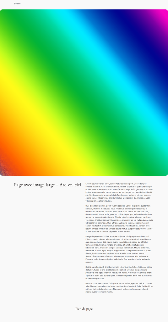 Exemple de page avec le mod&egrave;le de page avec image large 