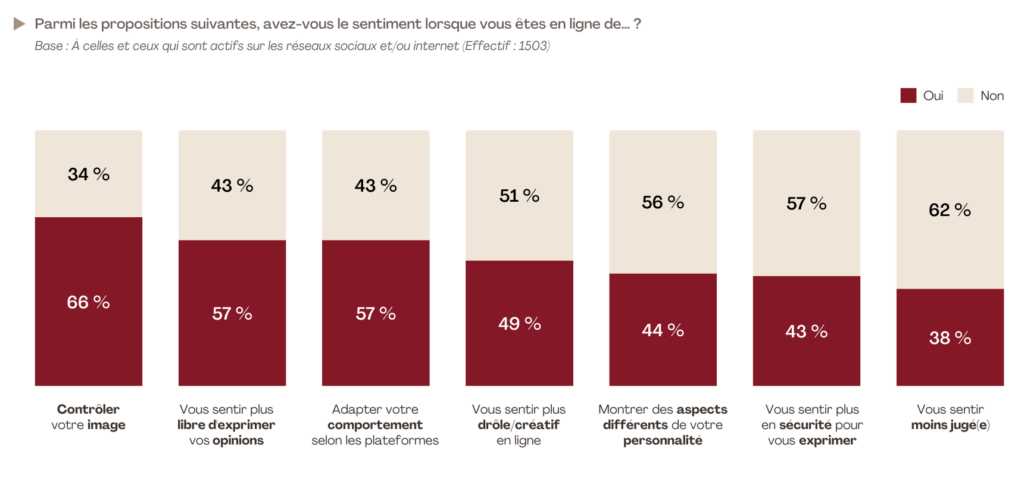 Infographie sur les sentiments ambivalents des Français en ligne