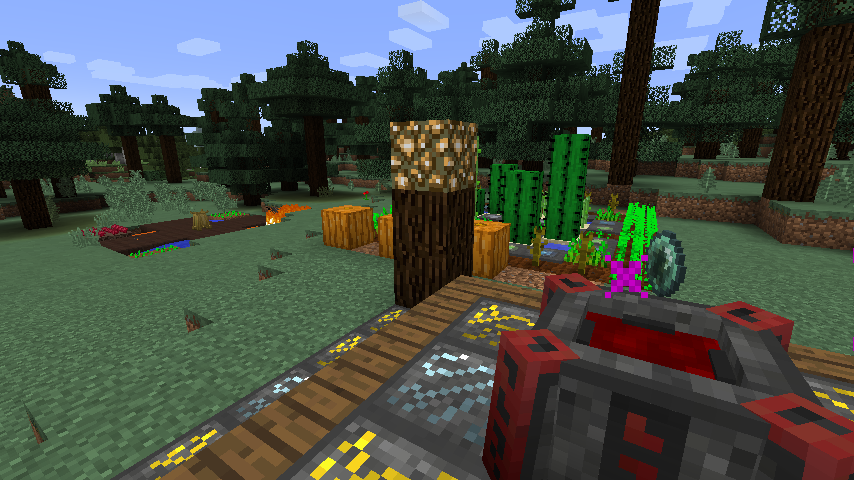 Capture d'écran en vue première personne de Minecraft montrant une forêt sombre, un bloc ressemblant à du magma au sommet d'un morceau d'arbre 