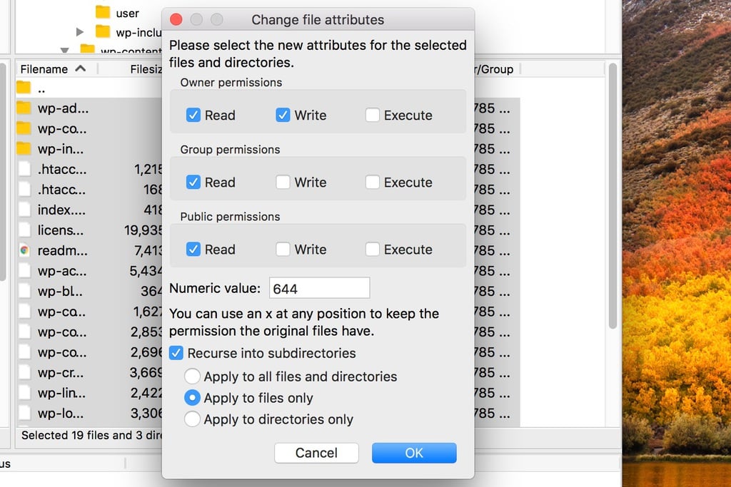 Fenêtre de modification des attributs de fichier FileZilla configurée pour s'appliquer uniquement aux fichiers