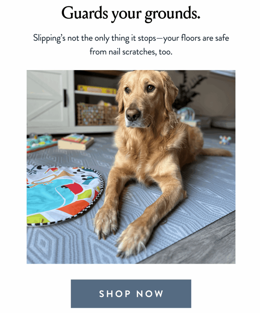 Campagne d'email marketing Porte + Hall ciblant les points de douleur des clients