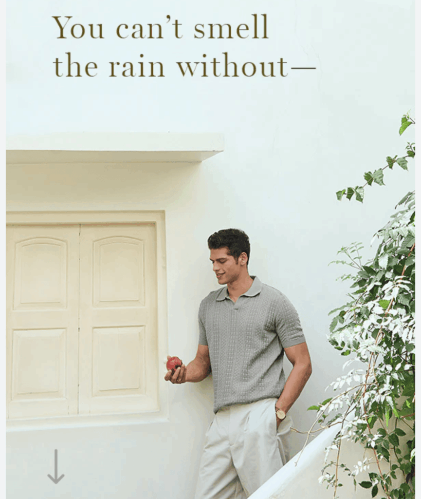 Campagne d'email marketing Andamen affichant le titre