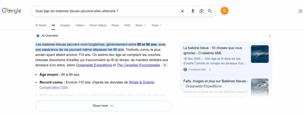 Un exemple de l'Aperçu Google IA