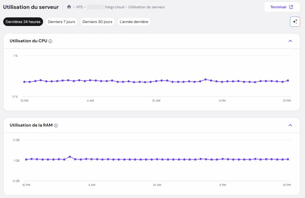 Le menu Utilisation du serveur dans le menu VPS de hPanel