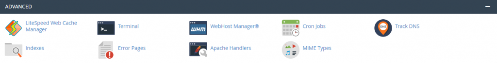 La section avancée de cPanel