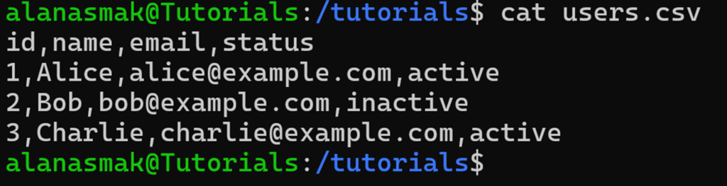 Exemple de fichier users.csv contenant des informations fictives sur les utilisateurs d&rsquo;une application web.