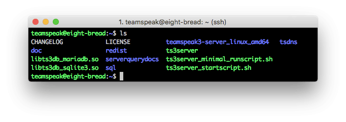 Konten server TeamSpeak 3